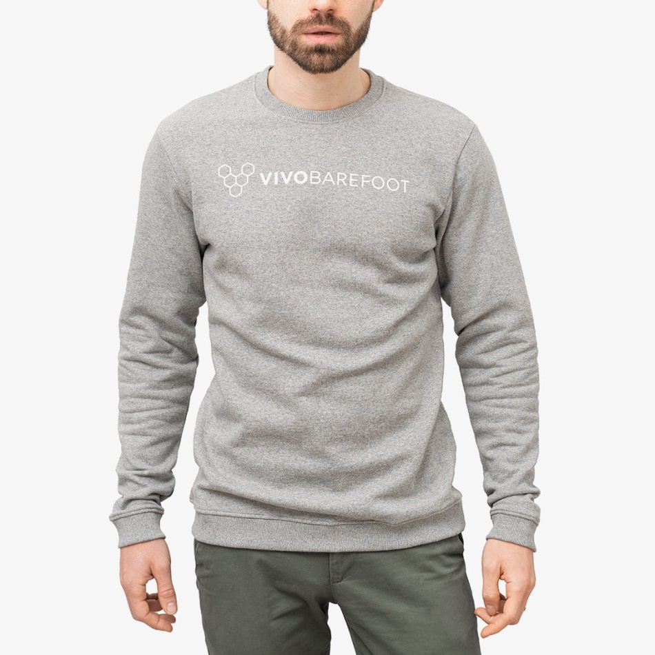Rapanui Sweatshirt Mænd Grå
